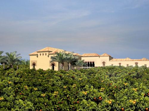 Madinat al-Zahra (Córdoba) - Vista del jardín alto con el pabellón central y el Maylis al-Sarqi