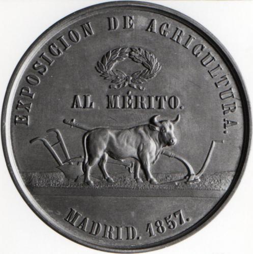 Medalla conmemorativa: Exposición de agricultura