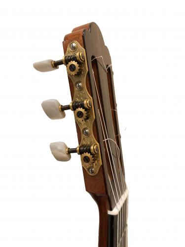 Guitarra