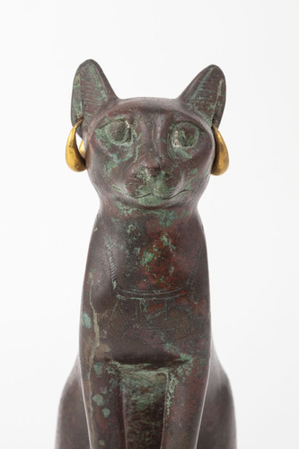 Gato