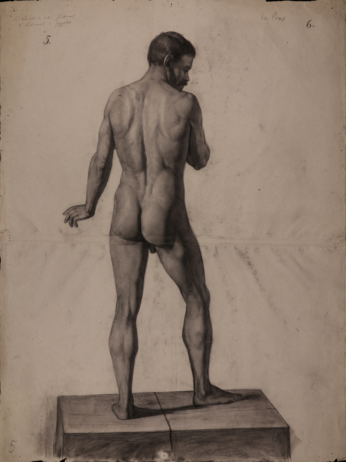 Pras - Estudio de modelo masculino desnudo de espaldas