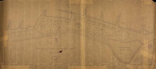 Plano topográfico de la Alameda de Apodaca (Cádiz)