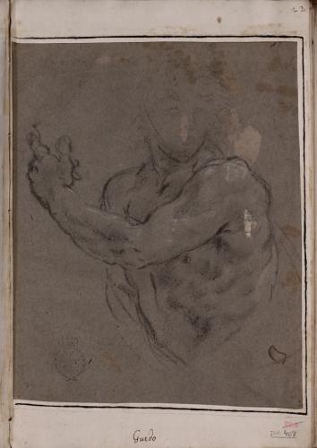 Estudio de torso de hombre desnudo