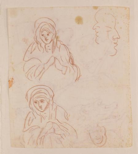 Dos estudios de la Virgen y dos perfiles de caricatura