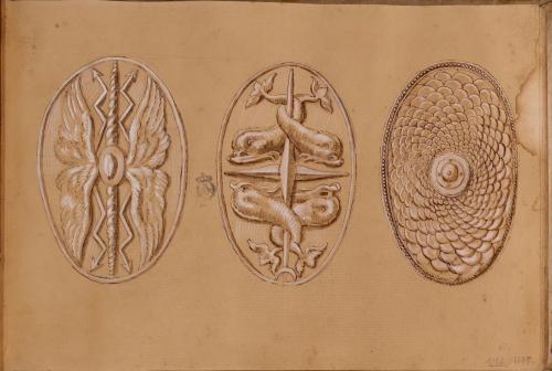 Estudio de tres escudos ovalados o cetratus romanos