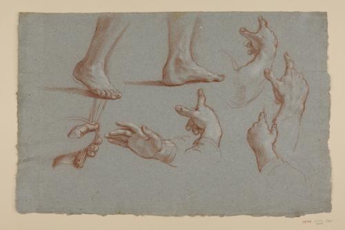 Estudio de pies y manos para la Madonna di San Lucca