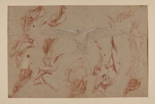 Estudio de paños, paloma con las alas extendidas y figura masculina en pie