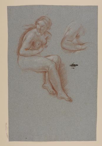 Estudio de figura femenina desnuda