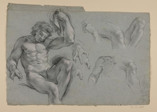 Estudio de hombre desnudo sentado, manos, piernas y torso
