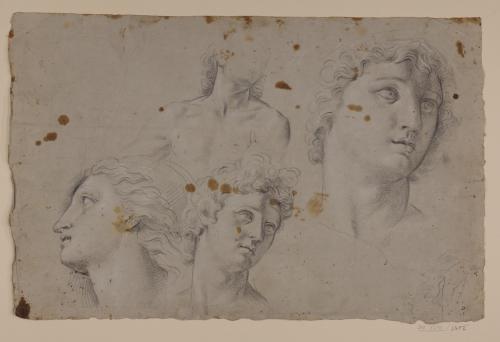 Estudio de la cabeza del Apolo Belvedere, otra femenina y torso masculino