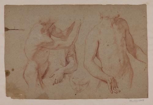 Estudio de figura masculina desnuda orando y otra de pie, un brazo y rostro masculino
