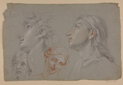 Estudio de cabeza de joven de perfil, de cabeza femenina de escultura clásica y cabeza masculina barbada