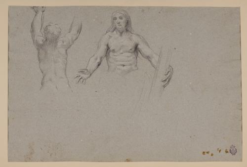 Estudio de dos medias figuras masculinas desnudas una de frente y otra de espaldas