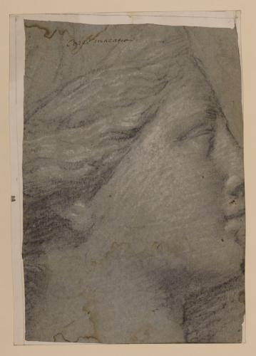 Estudio de cabeza de escultura clásica femenina de perfil