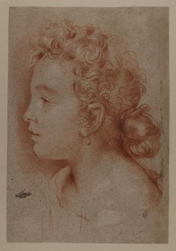 Retrato de perfil de Faustina Maratti hacia la izquierda