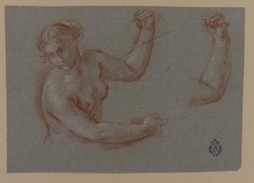 Estudio de media figura femenina desnuda y de brazo