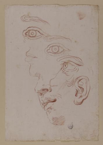 Estudio de ojos, rostro, oreja y boca