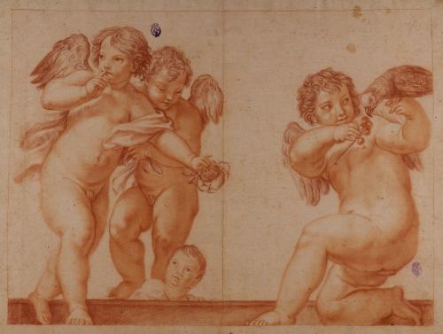 Estudio de putti con un cangrejo y un loro