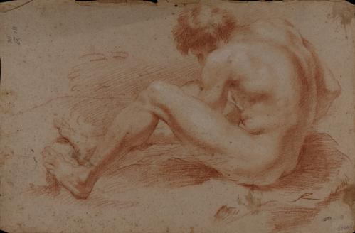 Estudio de modelo masculino desnudo sentado de espaldas