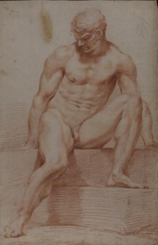 Estudio de modelo masculino desnudo sentado