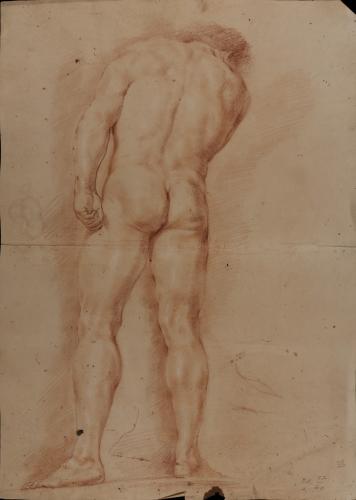 Estudio de modelo masculino desnudo en pie