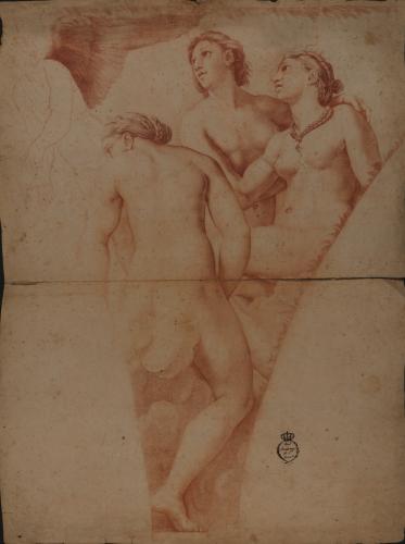 Estudio de Cupido y las tres Gracias