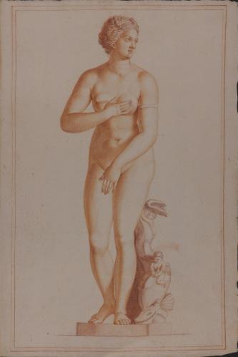 Estudio de la Venus Medici o del Delfín