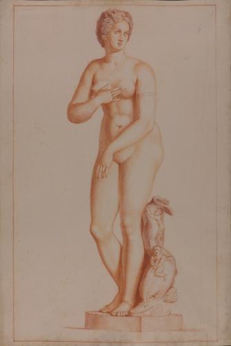 Estudio de la Venus Medici o del Delfín