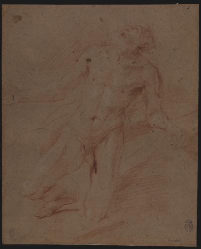 Estudio de figura masculina desnuda de tres cuartos hacia la izquierda semiarrodillado (San Jerónimo?)
