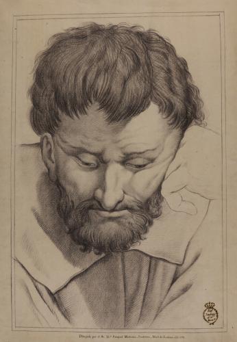 Estudio de cabeza de hombre barbado pensativo del fresco de la Escuela de Atenas de Rafael