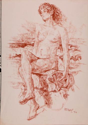 Desnudo