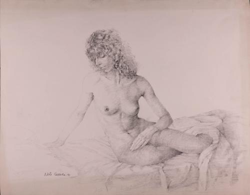 Desnudo