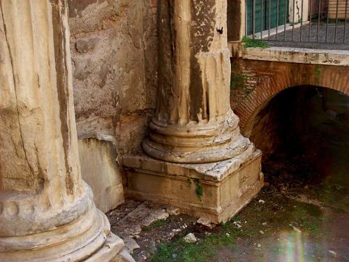 Sección de la basa, capitel y alzado del pórtico de Octavia [y de Livia] en Roma 