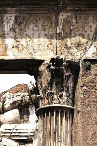 Alzado, sección y planta de un capitel del pórtico de Octavia [y de Livia] en Roma (4)