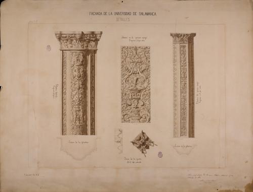 Alzado y sección de pilastras y motivo decorativo de la fachada de la Universidad de Salamanca