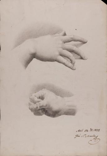 Estudio de dorso de mano derecha y de mano derecha cerrada en forma de puño