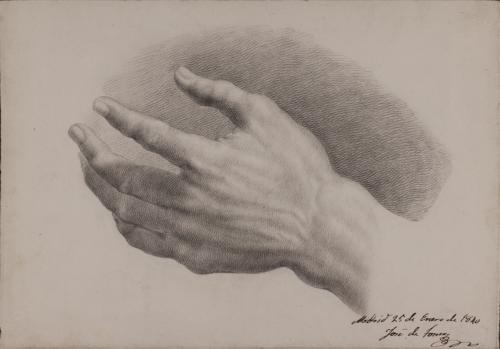 Estudio dorsal de mano izquierda masculina
