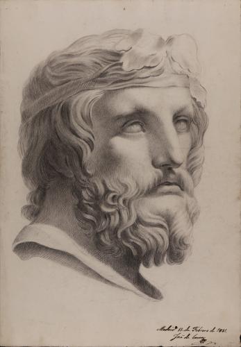 Estudio del busto del Dionisios Farnese