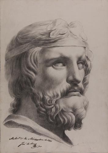 Estudio del busto del Dionisos Farnese