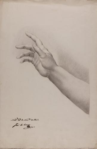 Estudio de mano y antebrazo derecho