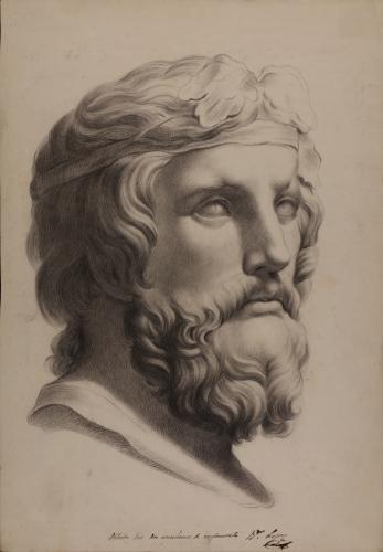 Estudio del busto del Dionisios Farnese