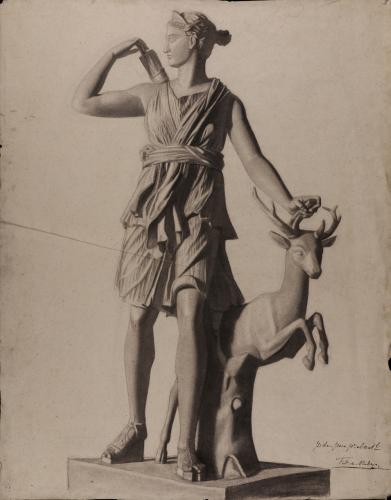 Estudio de Artemis cazadora, llamada Diana de Versalles