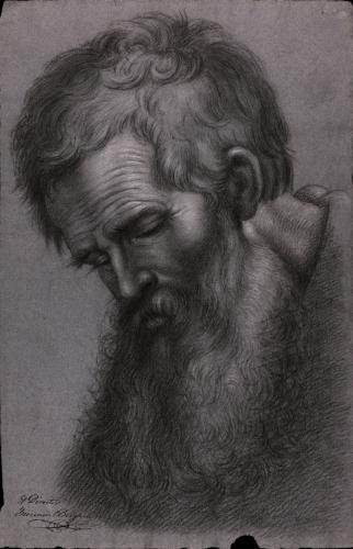Estudio de cabeza de un apóstol inclinada hacia la izquierda