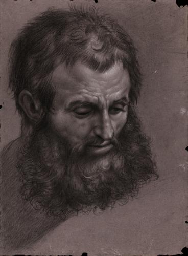 Estudio de cabeza masculina con barba completa, inclinada hacia la derecha