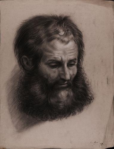 Estudio de cabeza masculina con barba completa, inclinada hacia la derecha