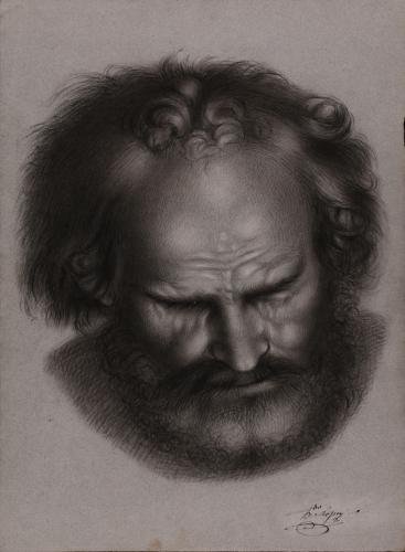 Estudio frontal de cabeza masculina barbada mirando hacia abajo
