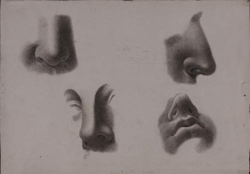 Cuatro estudios de nariz