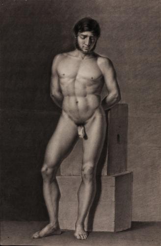Estudio de modelo masculino desnudo de frente con las manos a la espalda