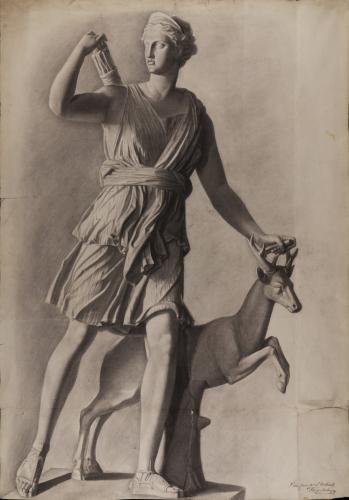 Estudio de Artemis cazadora, llamada Diana de Versalles