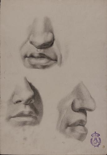 Estudios de nariz y boca en tres perspectivas
